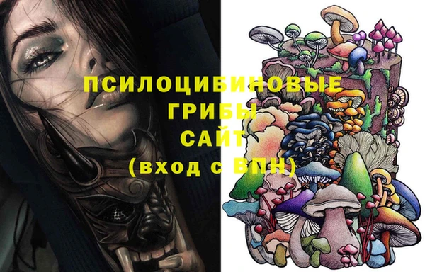 сатива Алзамай