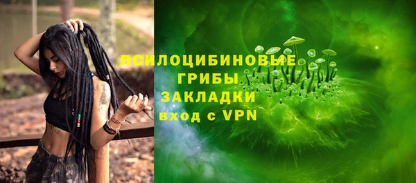 крисы Алексеевка