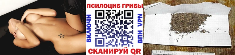 цены наркотик  kraken рабочий сайт  Псилоцибиновые грибы Psilocybe  Фатеж 